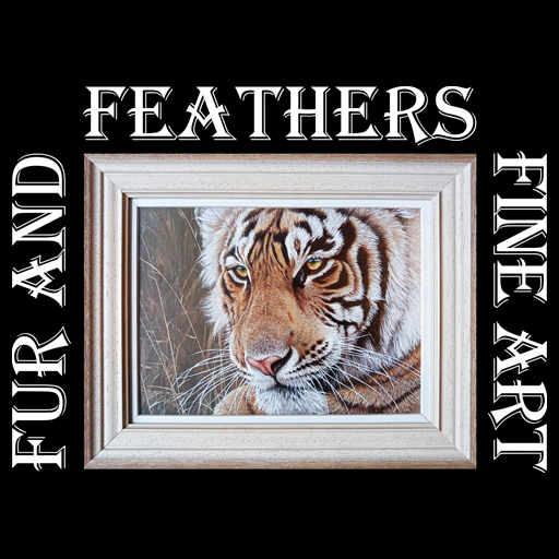 wildlife fine art paintings costa del sol Fur and Feathers Fine Art Gallery